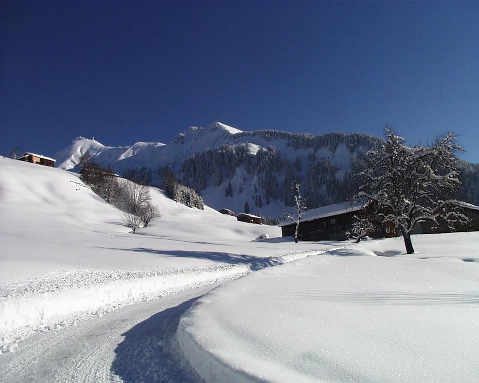 Moosbrugger * Au (Vorarlberg)