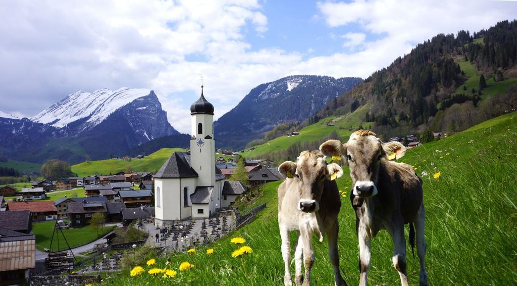 Moosbrugger Au (Vorarlberg)