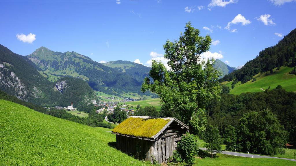 Moosbrugger Au (Vorarlberg)