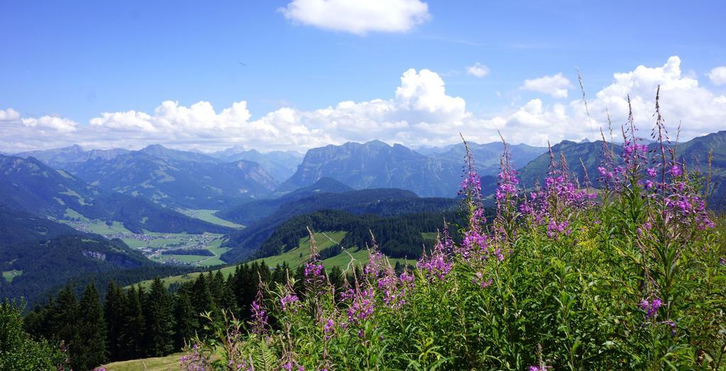 Moosbrugger Apartment Au (Vorarlberg)